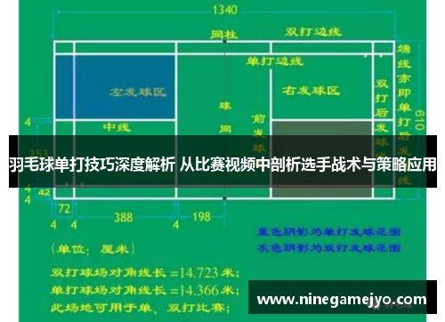 羽毛球单打技巧深度解析 从比赛视频中剖析选手战术与策略应用